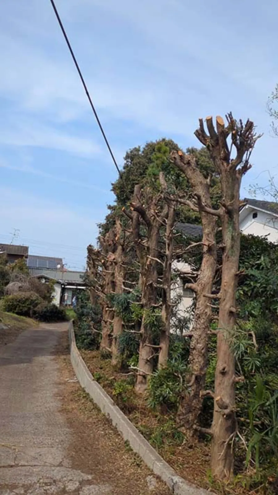 作業後