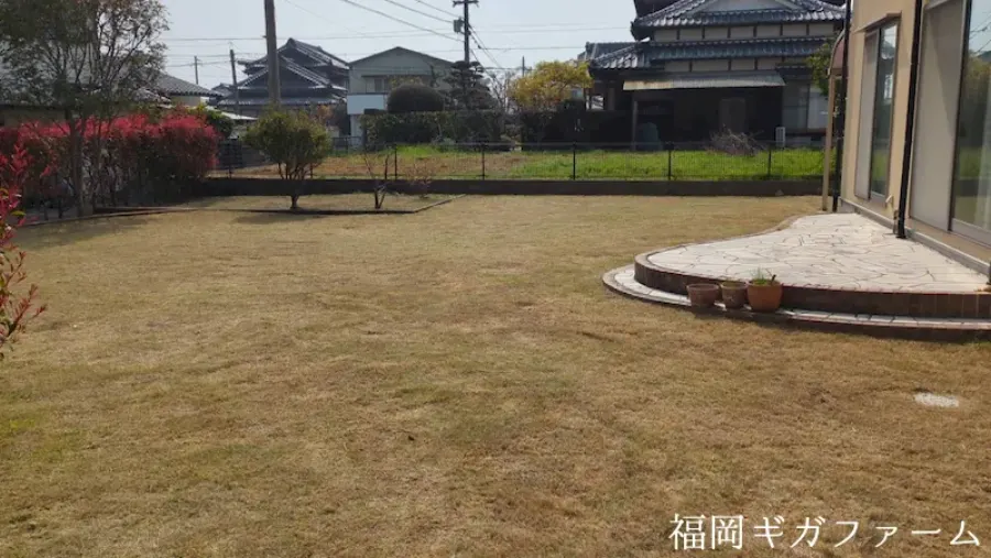 作業後の庭