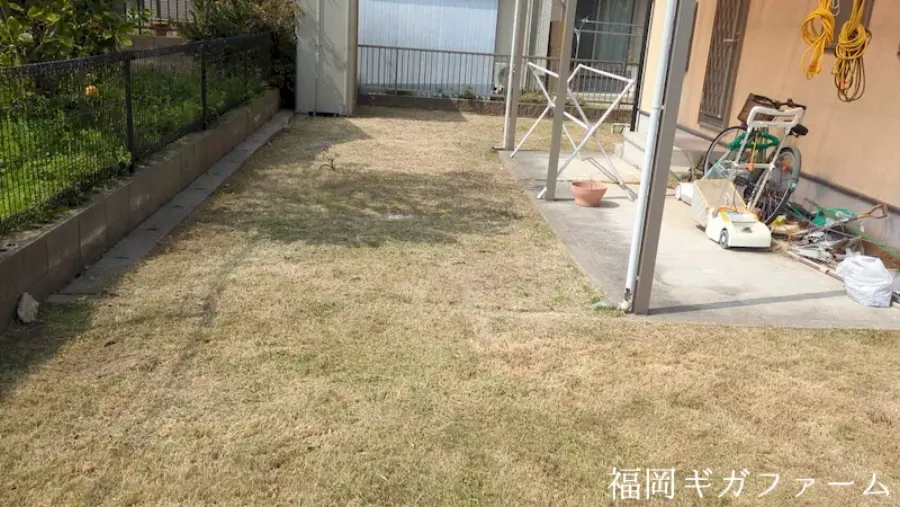 作業後、別の角度